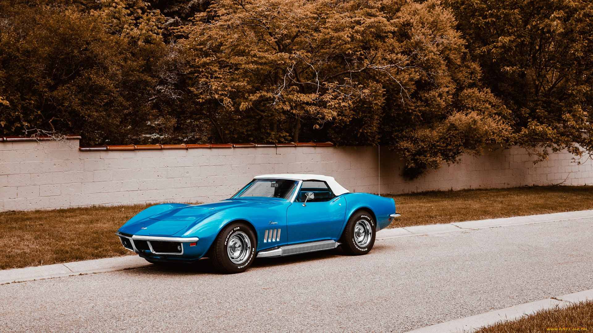 , corvette, 1969, chevrolet